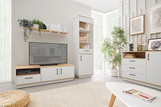 Obývací stěna bílá se dřevem