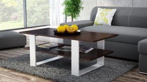 Konferenční stolek MARTYNA 120 Wenge mix (6/6)