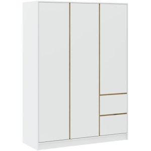 Šatní skříň BASIT 3D2S - bílá + dub artisan